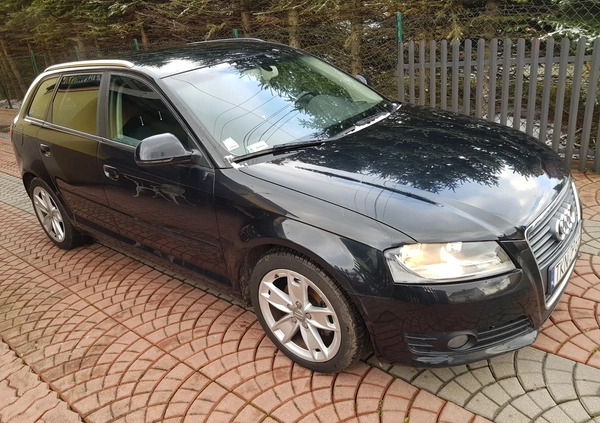 Audi A3 cena 22900 przebieg: 265000, rok produkcji 2008 z Kielce małe 67